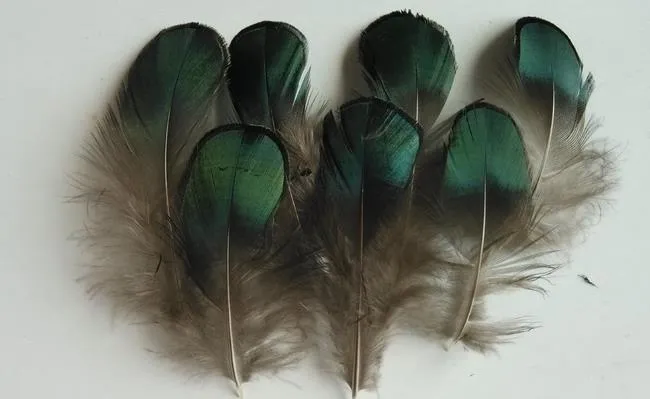 diy craft green copper chicken verdigris natural feathers pro cleaning feathers diy jewelry bag necklace headband 47cm drop