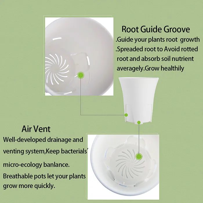 Groothandel 50 stks MOQ Ademhaling en Root-Control Round Flower Pot, Creatieve Plastic Ronde Lithops Succulente Potten voor Haworthia Planting
