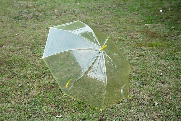 Transparent Umbrellas Clear PVC Umbrellas Long Handle SN6361