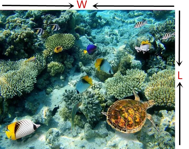 Papier Peint 3D Intissé Poisson De Requin Mondial Sous Marin Papier Peint Panoramique 3D Moderne Decoration Murale Chambre Salon Décoration Murale 150cmX105cm