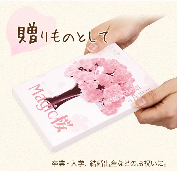 iWish 2017 Visual 14x11cm Pink Big Grow Paper Magic Sakura Albero giapponese Alberi che crescono magicamente Kit Desktop Cherry Blossom Christmas 