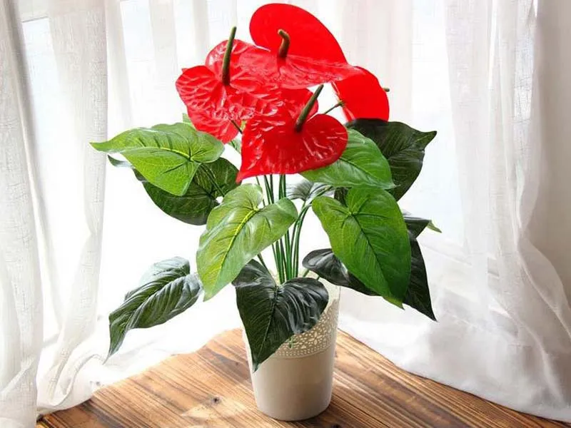 Tolle 18 Köpfe künstliche Blume, kleine Topfpflanze, Seidenanzug, großer Topf, Anthurium, Büro, Haus, Garten, Dekoration, Bonsai, Großhandel