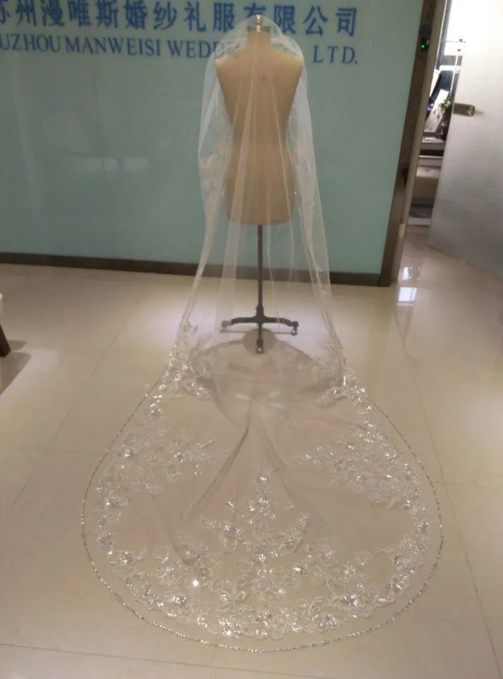 2019 One Layer Wedding Veils 3 Meters Long Cathedral Length Rhinestones Beaded Real Image Tulle Bridal Veil With Comb