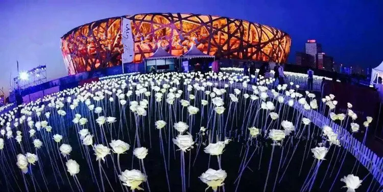 LED-Laterne zeigt Traumlichter LED-Rosen blüht bunte LED-Außenquadratlandschaftspark glitzernde Feiertagslichter 