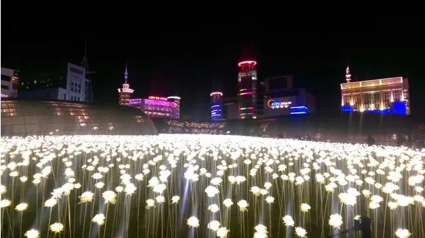 LED-Laterne zeigt Traumlichter LED-Rosen blüht bunte LED-Außenquadratlandschaftspark glitzernde Feiertagslichter 