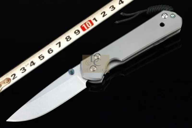 Chris Reeve Liten Sebenza 21 Folding Kniv D2 Blad med sten Tvätt TC4 Titanlegering Hantera gratis frakt