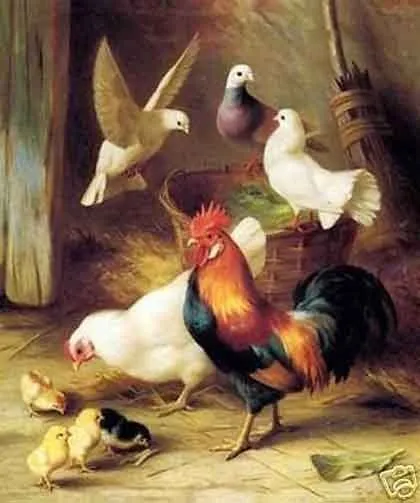 Gallo galline anatra Dipinto a olio di arte classica dipinta a mano su tela Museo Qualità in Multi formato scelto