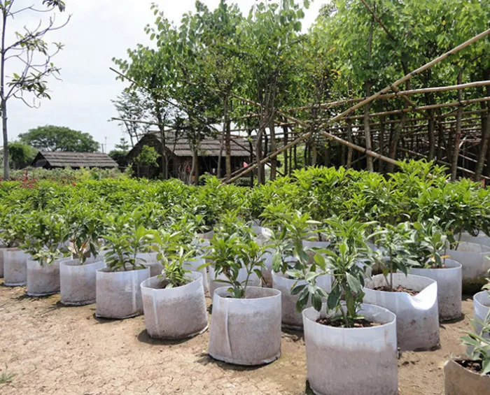 Tissu blanche non tissé Sac de planteur de planteur de culture hautement respirant avec poignées avec poignées Prix bon marché de grandes jardinières