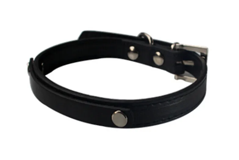 puレザー10mmスライドバー付きDORまたは猫用の/letersed plain skin pet collar 10mm diyスライドレタースライドチャームに適しています