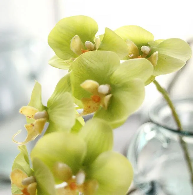 リアルタッチ蘭72cmの造花シミュレーションプリンセス蝶蘭の黄色いものの花7色のゴムコーティングPF13
