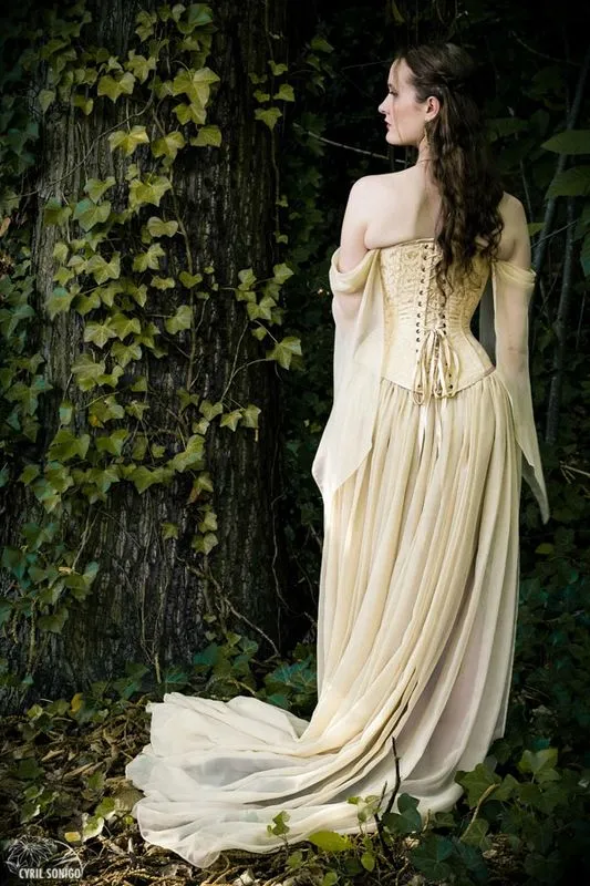 Ренессанс средневековый старинные светло-золотой шампанское милая свадебные платья с длинными рукавами шифон высокий низкий свадебные платья EN10920
