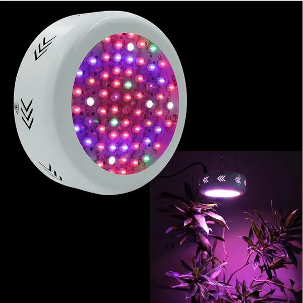 UFO Full Spectrum LED Gright Lights 72 * 3W Hydroponics Gring Box Lampy LED do Greenhouse Roślin Warzywo Wzrost kwitnienia