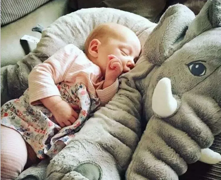 Vendita al dettaglio 2017 Elephant Cuscino Bambola Bambino Bambini Sleep Pillow Regalo di compleanno Ins Lumbar Pillow Naso lungo Bambola Elefante Elefante Peluche 30cm
