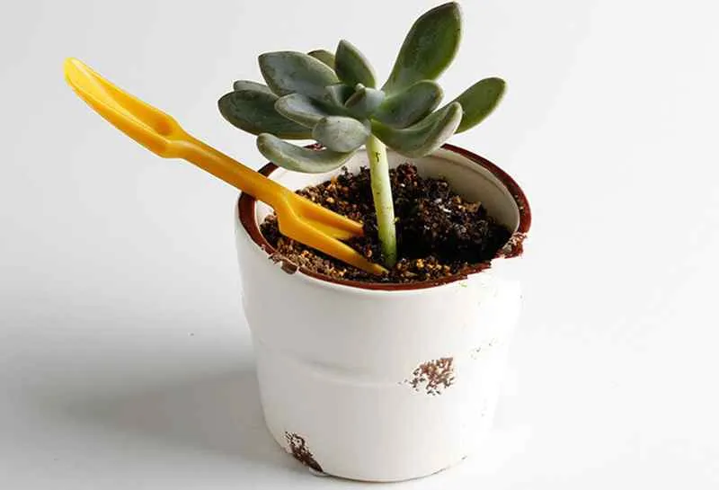 2個/セット苗移植デバイス植物苗木プラーの多肉植物鍋穴パンチャー移動ツールDIY Zakka Fairy Garden Bonsai Craft