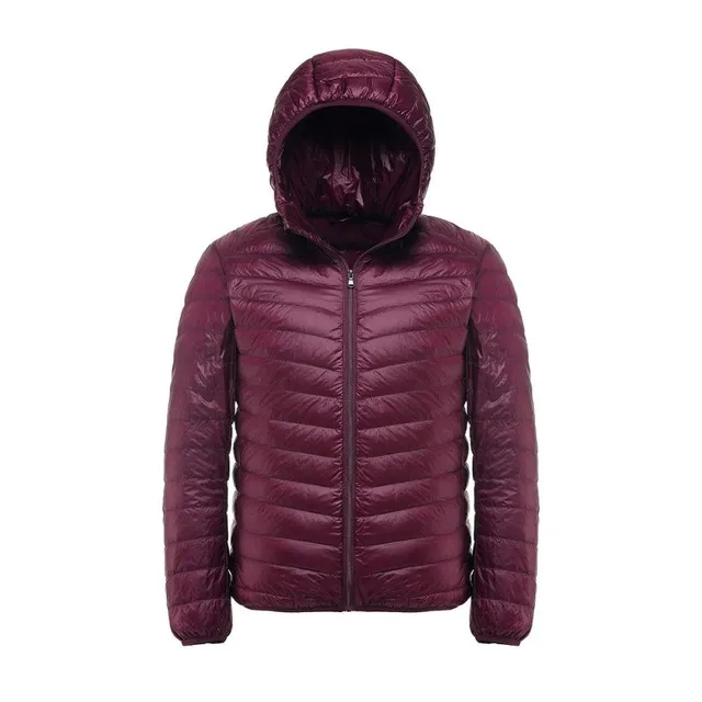 2017 neue Casual Marke Weiße Ente Unten Jacke Männer Herbst Winter Warme Mantel männer Ultraleichte Ente Unten Jacke Männlichen winddicht Parka