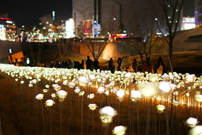 LED-Laterne zeigt Traumlichter LED-Rosen blüht bunte LED-Außenquadratlandschaftspark glitzernde Feiertagslichter 