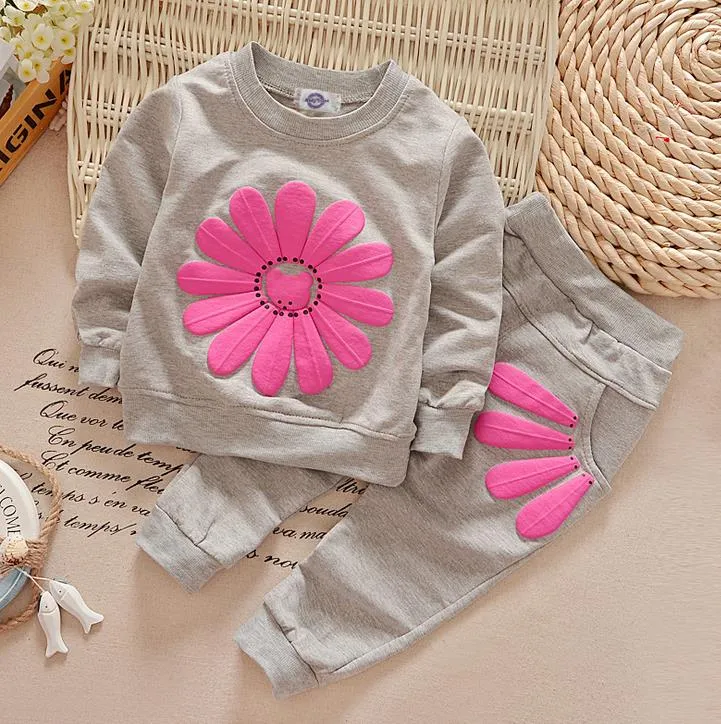 Frühling Herbst Mädchen Trainingsanzug Baby Kinder Blumen Tops Sweatshirt + Hosen 2 stücke Kleidung Anzüge Kinder Baumwolle Outfits Sets 5 farben