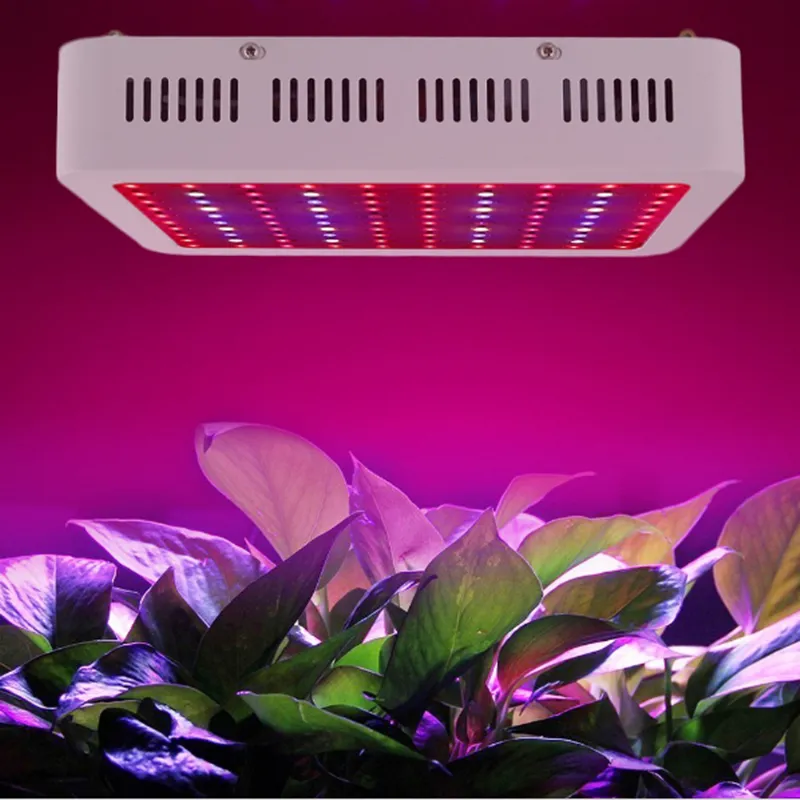 600W 800W 1000W Hot Sale Double Chips LED Grow Light Full Spectrum för Veg Bloom Hydroponic Planting EU AU US UK plug