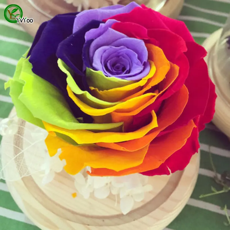 Beautiful Rainbow Rose Seeds Flower Seeds Bonsai Plant for Home Garden 30 Particles / W011