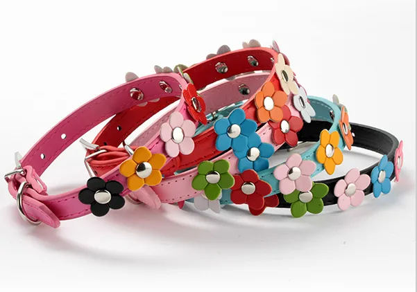 Moda i 4 Taglie Pelle Pelle Pelle Pet Cane Collar Collana Collana con scollo a Cat Collana con G1012 con borgo