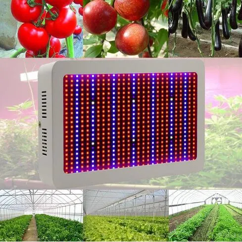 높은 품질 600W 전체 스펙트럼 LED 빛 성장 레드 / 블루 / 화이트 / 자외선 / 적외선 AC85 ~ 265V SMD5730 Led 식물 램프 2 년 보증