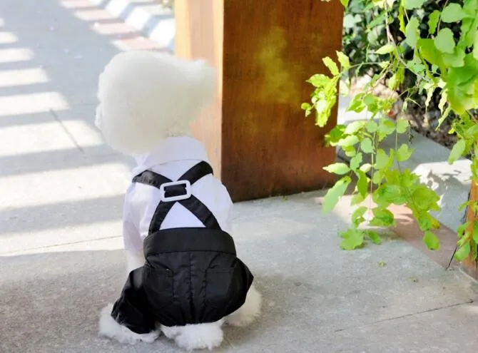 Nouveau chien chat Pet Puggy Coton Costume Hommes Bow Tie Jumpsuit Chemises Vêtements Quatre Jambes Vêtements Pour L'été