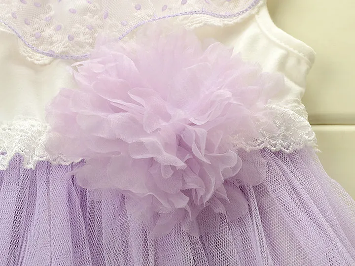 2 bis 6 Jahre Mädchen-Sommer-Spitzenkleider, Kinder-Tutu-Tüll-Kleidung, Baby-Kinder-Boutique-Modekleidung, 1 Stück, Einzelhandel, R1ES12DS-61