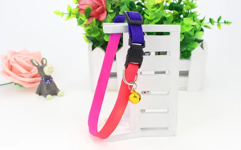 Rainbow Dog Cat Bell Collar Verstelbare Outdoor Comfortabele Nylon Pet Collars voor Kleine Honden Puppies Pet leverancier