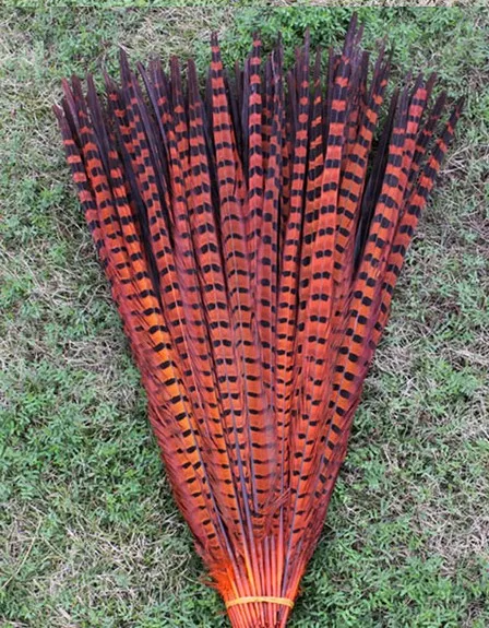 Hela 100st Pheasant Tail Feathers 40-45cm 16-18 tum högkvalitativ naturlig fasan svansfjädrar saker dans rekvisita weddin2810