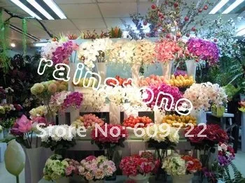 2012 Hot High Simulation Moth Orchid Flower / Wedding Decoration Flower FL043-9