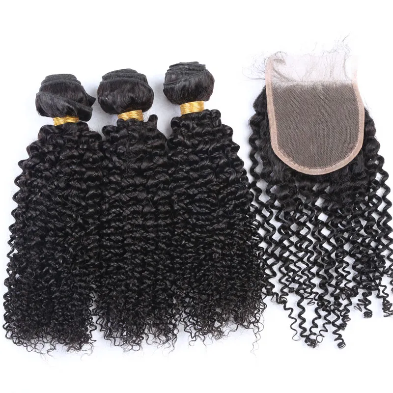 Brazilian Afro Kinky Curly Hair Bundles With Closure Bundles