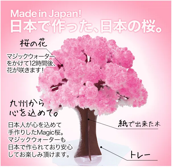 iWish 2017 Visual 14x11cm Pink Big Grow Paper Magic Sakura Japanese Tree Magically Growing Trees Kit Desktop Cherry Blossom Christmas 10PCS