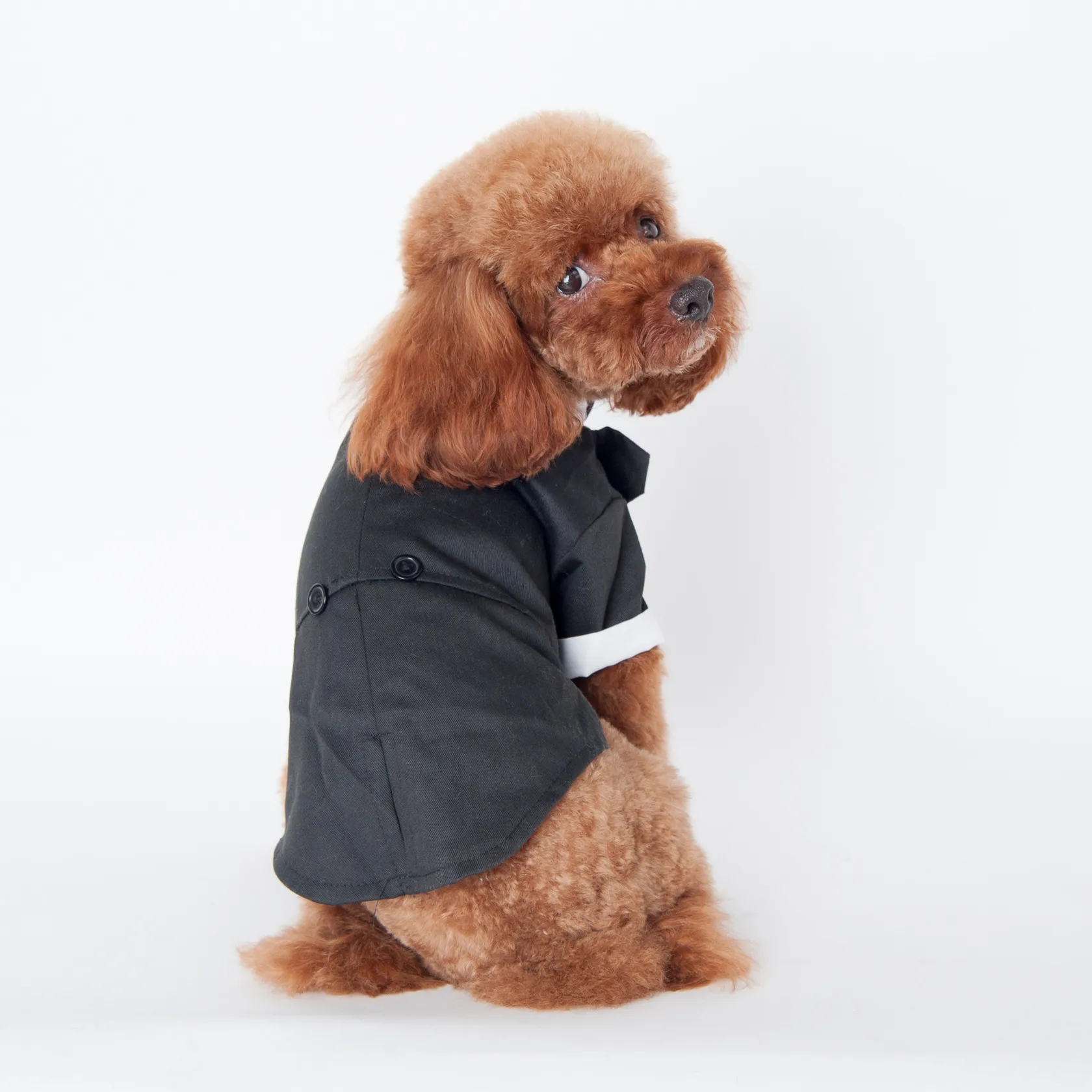 Abbigliamento cani Vestiti animali domestici Grandi vestiti cani da compagnia carini Vestiti gatti Principe Abito da sposa Smoking Papillon Cappotto cuccioli 5 taglie Cani Sposarsi Abito completo