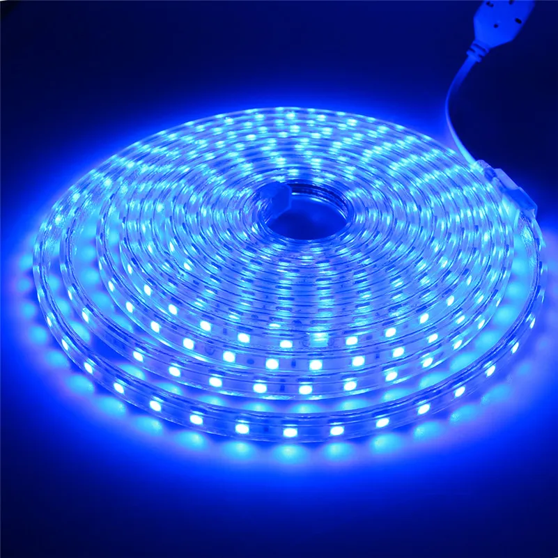 220 V LED Flexibe Tape SMD5050 LED Strip met Power EU Plug 60 LED / M IP67 Waterdichte Outdoor Woondecoratie String Verlichting Gratis verzending