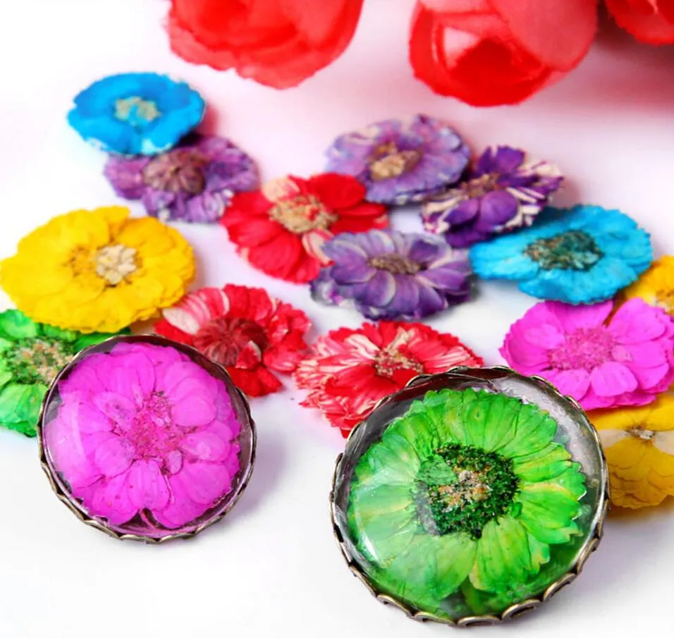 Pressed Dried Hibiscus Flower For Wedding Party Home Pendant Necklace Craft DIY Bouquet Accessories