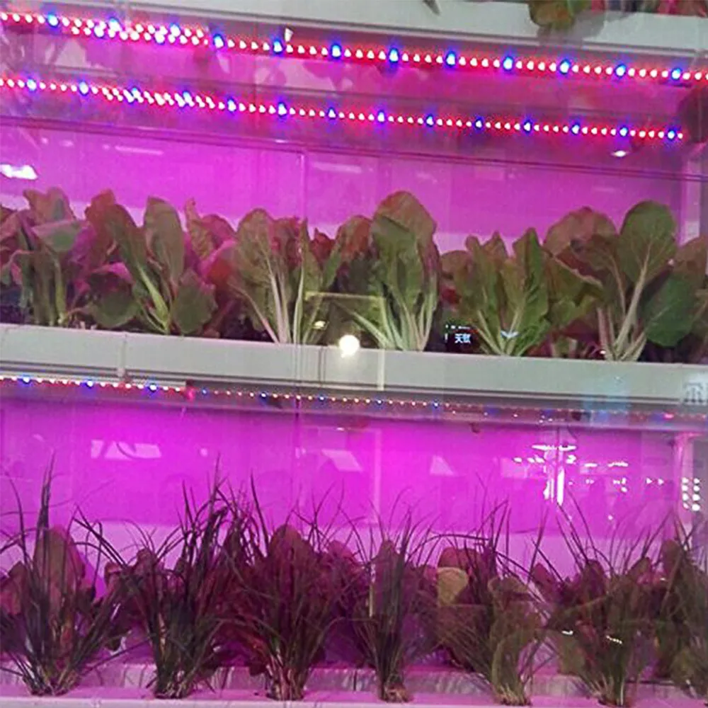 Silikon Wasserdicht 5M 300LEDS 5050 LED Pflanze Wachsen led-streifen Licht Volle Spektrum 5050 Rot Blau 4:1 5:1 für Gewächshaus