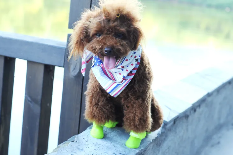 4 ピース/セット犬の靴ファッションペット犬ゴムレインシューズカラフルな防水ブーツ素敵なキャンディーカラーのレインシューズ S/M/L WX-G16