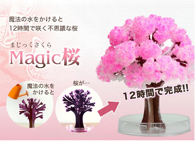 iWish 14x11cm Visual 2017 Pink Big Grow Magic Japanese Sakura Paper Tree Kit di alberi che crescono magicamente Desktop Cherry Blossom Christmas 