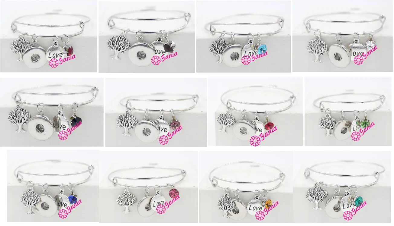 New Arrival Fashion DIY Interchangeable Snap Jewelry Style Crystal Birthstone Charm Expandable Wire Snap Bangles Bracelet For Women Gifts