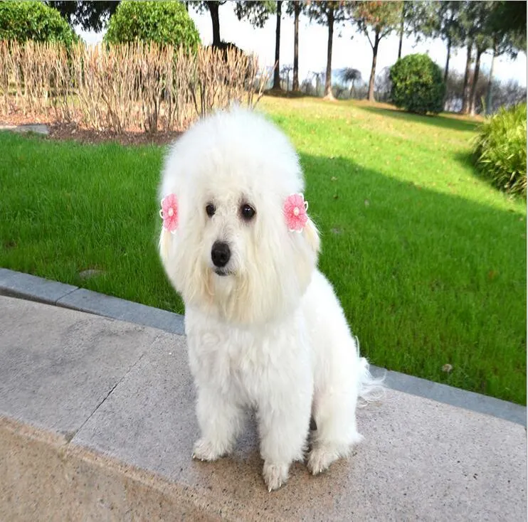 祭りの装飾ペット犬の髪の弓かわいいペット犬猫の頭飾り花グルーミングヘッドバンドペットギフト蝶ヘアピンファッション犬