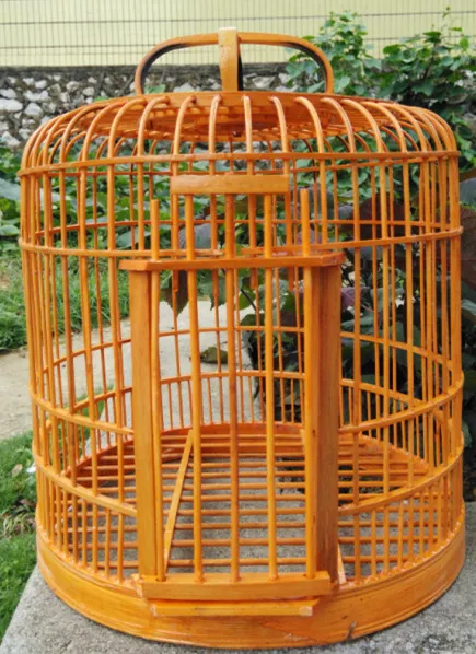 Livraison Gratuite Bamboo Birdcage Starling Thrush Cage Santé Birds Cage 32cm Pour envoyer un ensemble complet d'accessoires