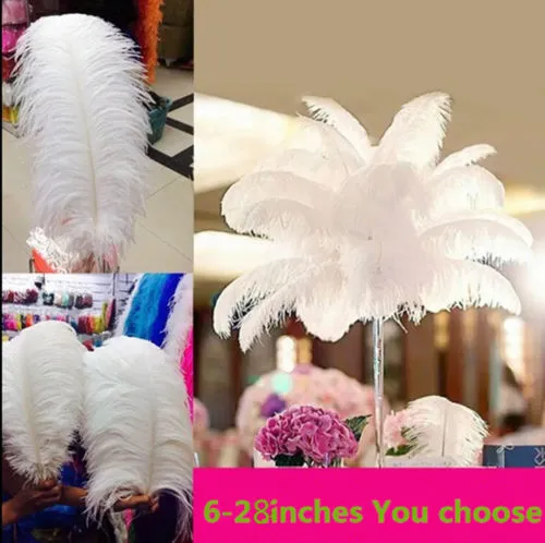 wholesale 50pcs lot 6-26 inch Ostrich Feather Plume white,Wedding centerpieces table centerpiece decor party event decor