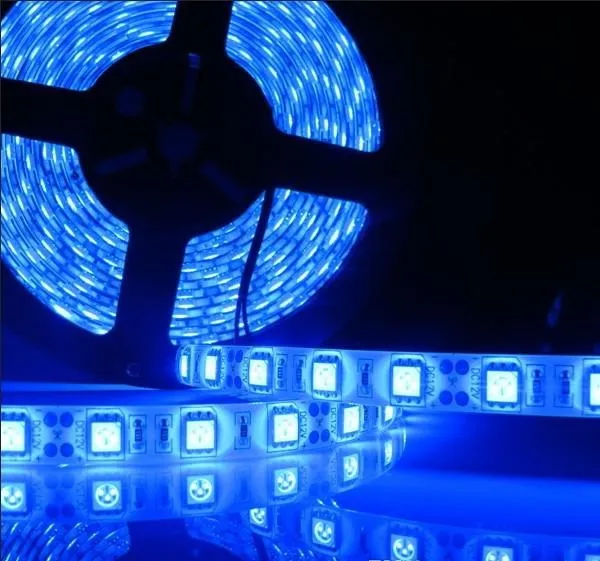 12V 방수 5050 SMD LED 스트립 라이트 유연한 레드 그린 블루 따뜻한 화이트 쿨 화이트 60Led / m 무료 배송
