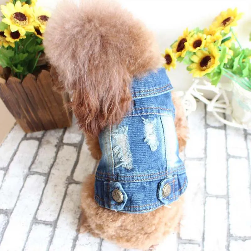 New Fashion cowboy gilet per animali cucciolo cucciolo di orsacchiotto jeans personalizzati vestiti per cani abbigliamento primaverile ed estivo spedizione gratuita