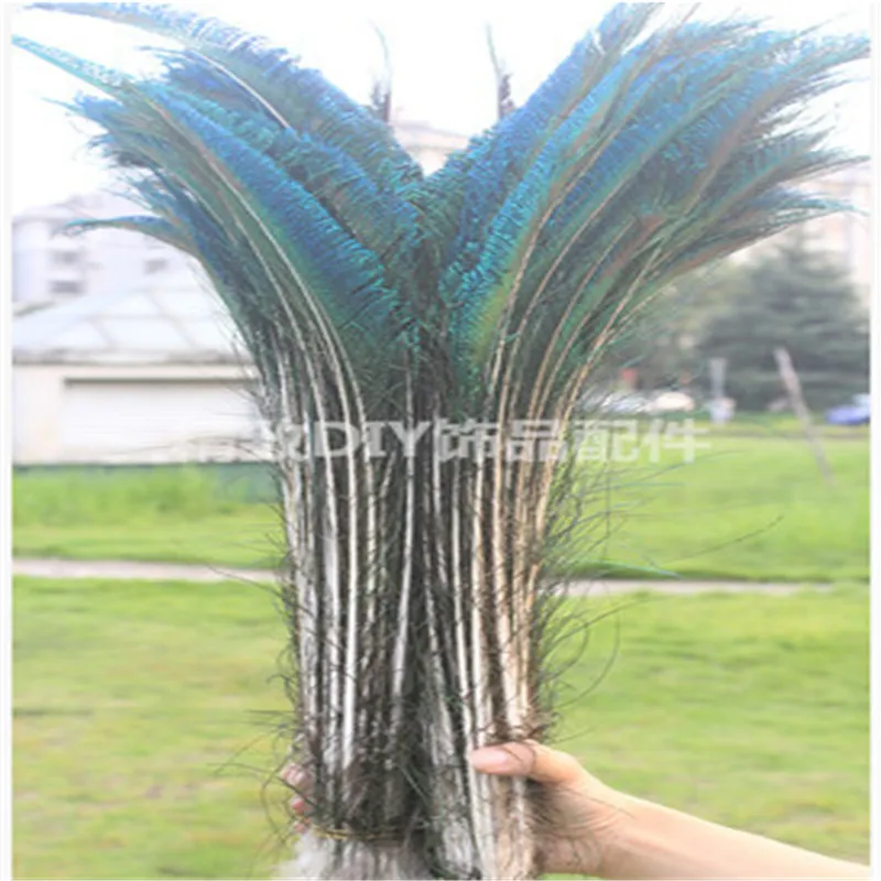 whole 1000 PCS Peacock sword fern feather 25-30cm 10-12inch Wedding centerpiece decor298D