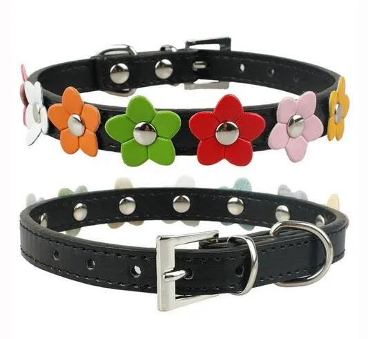 Moda i 4 Taglie Pelle Pelle Pelle Pet Cane Collar Collana Collana con scollo a Cat Collana con G1012 con borgo