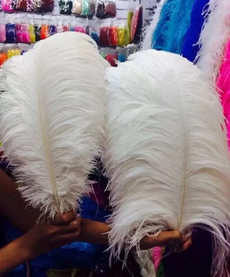 Piume Di Struzzo Da 20 22 Pollici Decorazione Centrotavola Matrimoni Decorazioni La Tavola Eventi Di Feste Bianco, Nero, Colorato Da 2,37 € | DHgate
