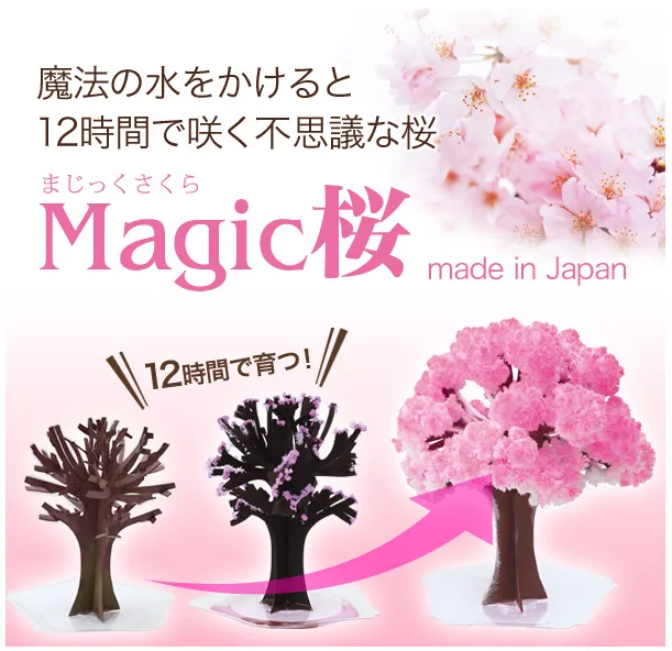 iwish 2017 visual 14x11cm rosa grande crescer papel magia sakura árvore japonesa magicamente crescimento de árvores kit desktop flor de cereja natal 