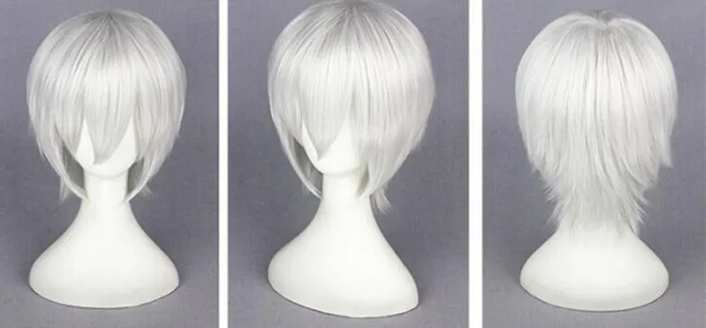 Anime Grim Tokyo Ghoul Cosplay perruque gourou Ken Kane argent blanc court droite fibre cheveux perruque cheveux postiche fête halloween COS accessoires de déguisement