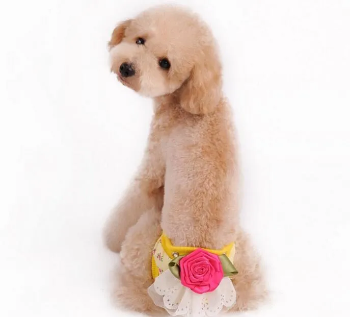 Nouveaux chiots petits chiens pantalons physiologiques vêtements de menstruation vêtements de costume
